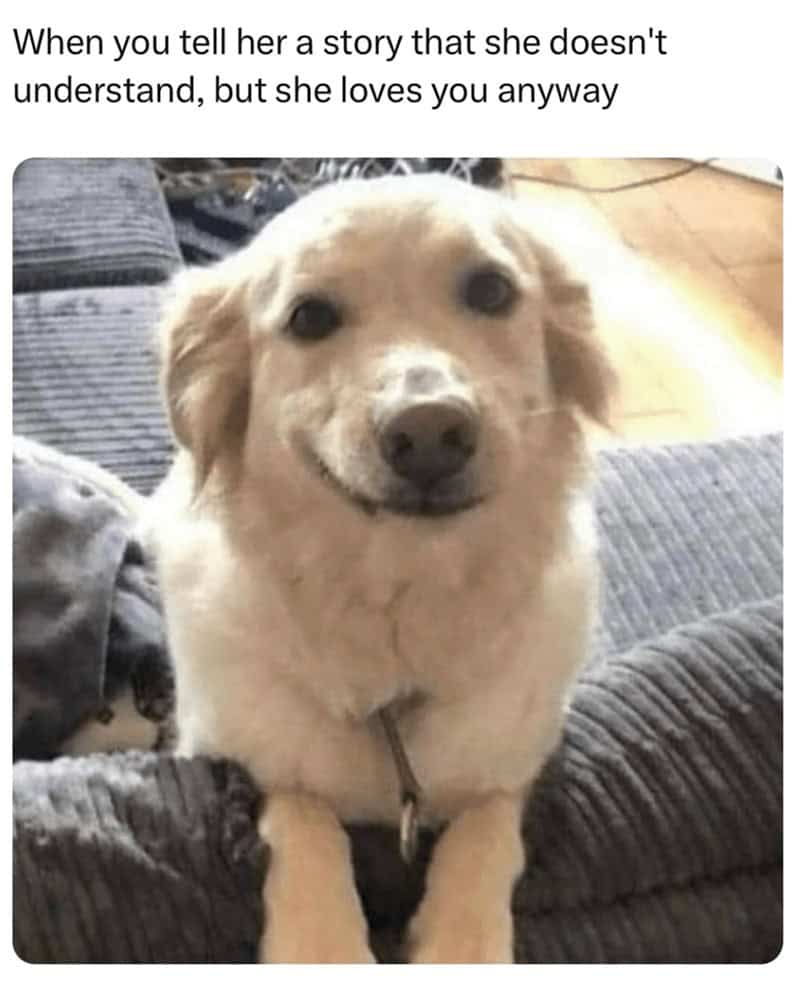 1. She’s not sure what you’re saying, but she’s 100% here for it.