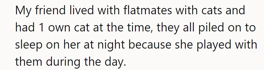 NTA—cats love attention! Her friend’s flatmates’ cats piled on her because she played with them daily.