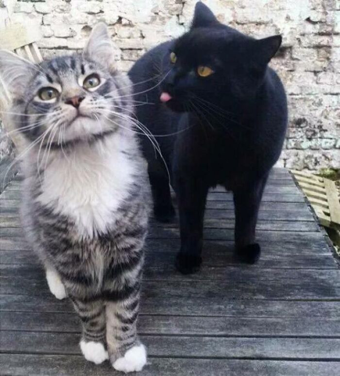 "Is He Making That Face Again?"