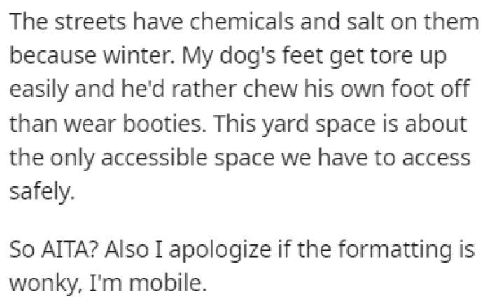 The salt and chemicals on the streets make it impossible for the dog to go anywhere far