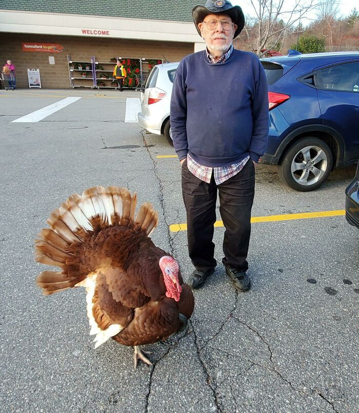 "This Guy I Met At The Grocery Store Had His Pet Turkey With Him"