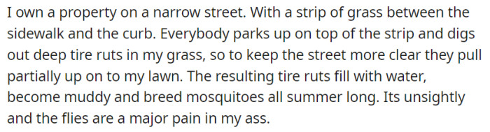 OP owns a property along a narrow street—which is not exactly a pleasant place to live.