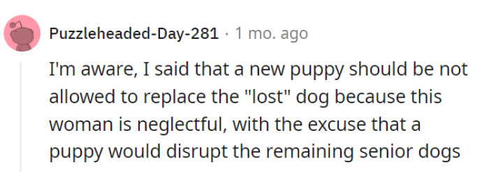 Stick with the seniors and avoid the canine chaos!