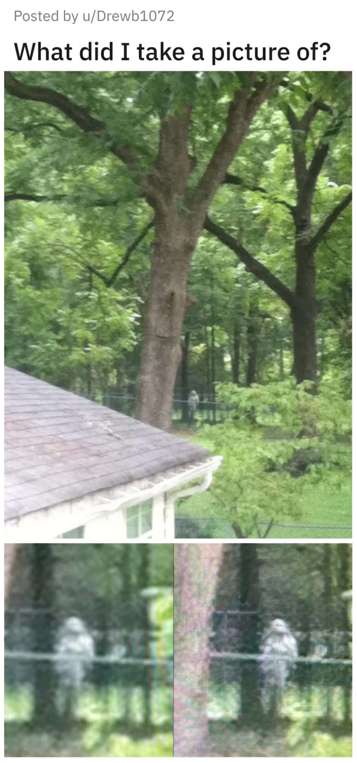 17. Unidentified Object Caught on Camera