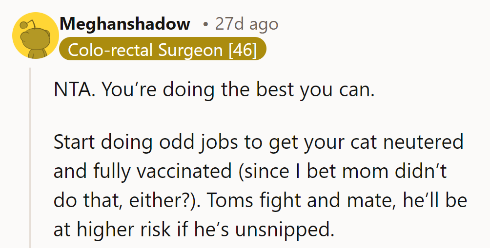 He's NTA and doing great! Start saving for neutering and vaccinations to protect Nibbles from fights and wandering.