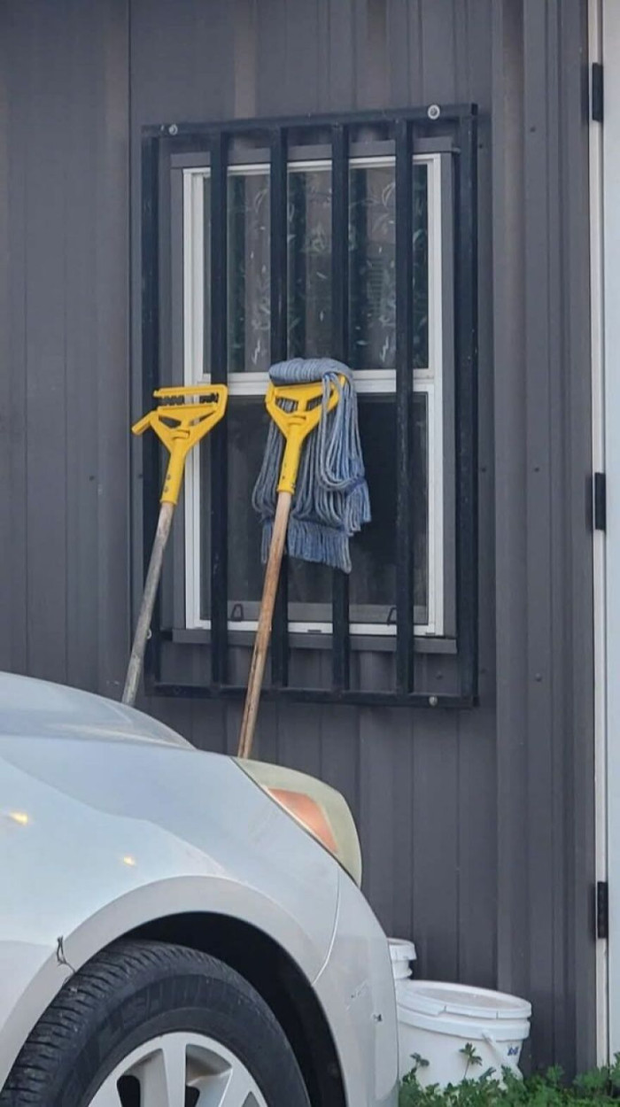 'Meet Mr. And Mrs. Mophead'