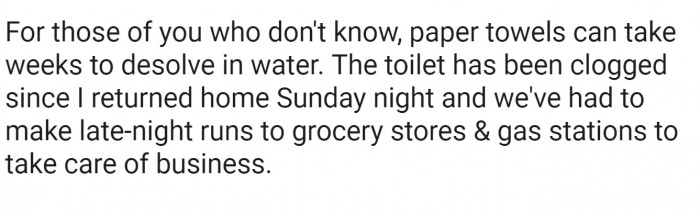 It should be common sense, but paper towels and toilet paper don't mix