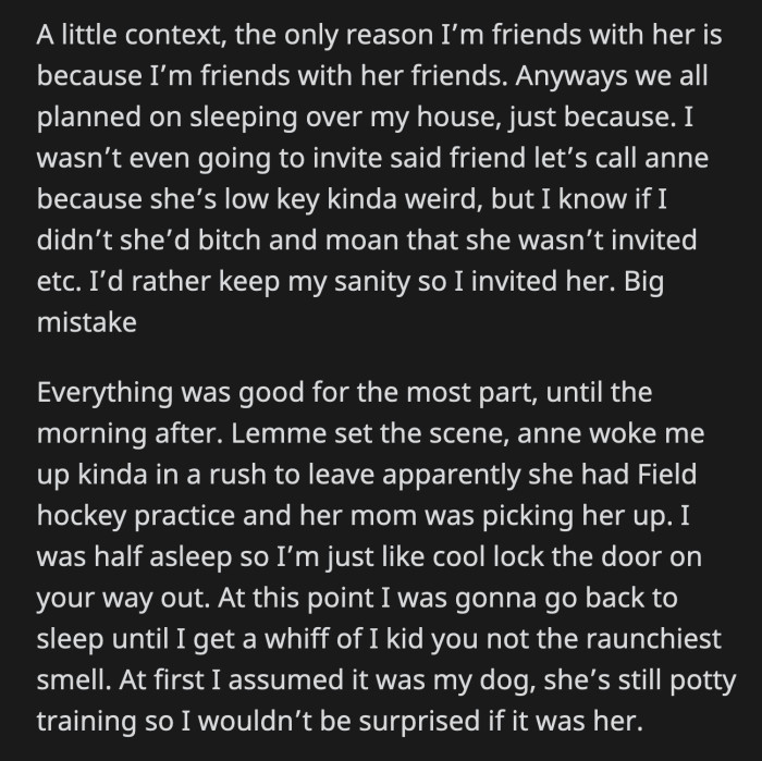 OP Went to Her Bathroom to Grab an Air Freshener to Hopefully Stop Everyone from Throwing Up