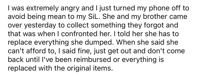 After the sister refused to replace the items, OP decided to kick her out.