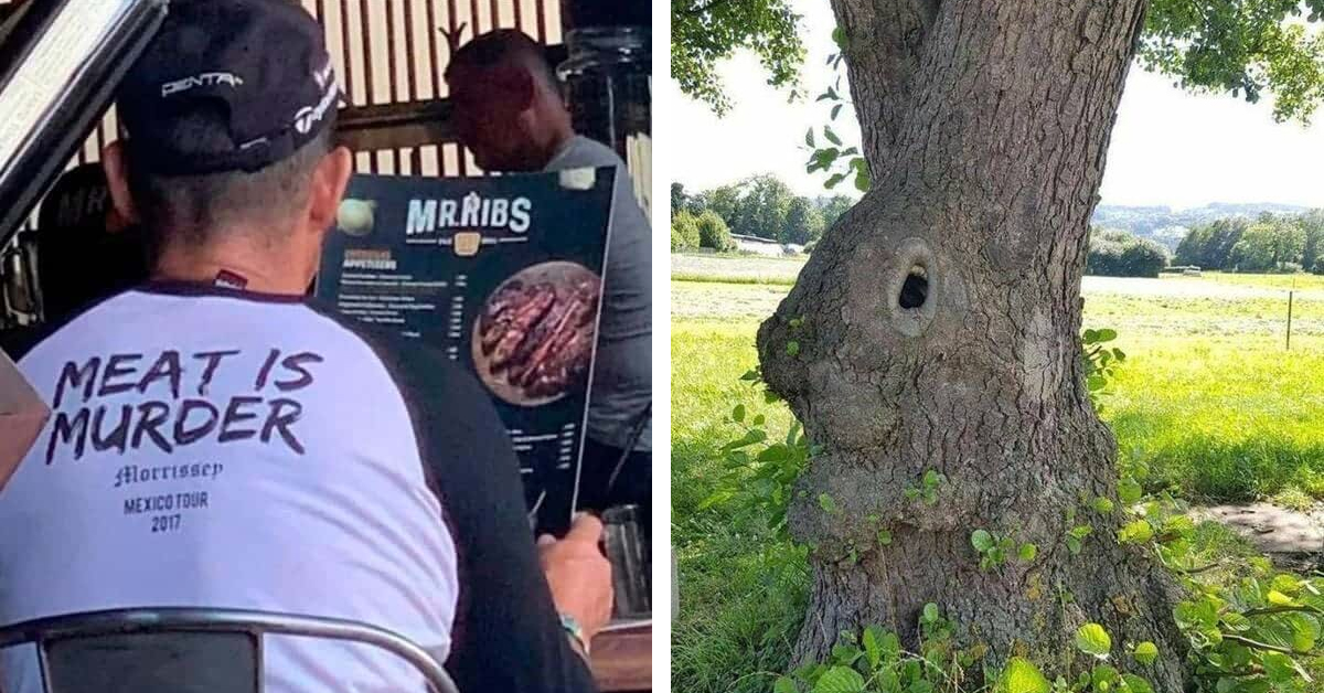 47 Hilarious And Quirky Images To Brighten Your Day
