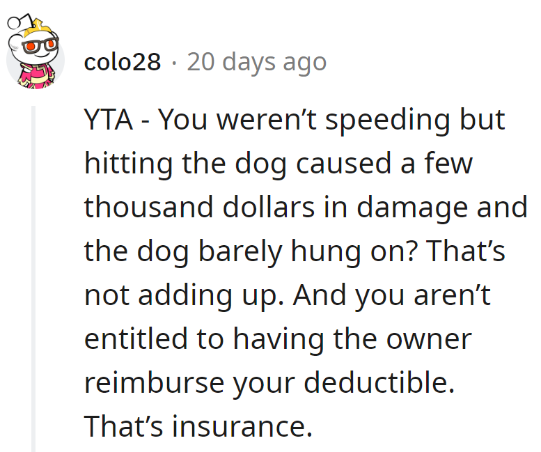 Not speeding, but dog dent equals big bills? Save the reimbursement dreams for insurance, not the owner.