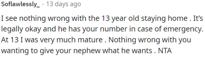 OP's choice to fulfill his nephew's wish is fine.