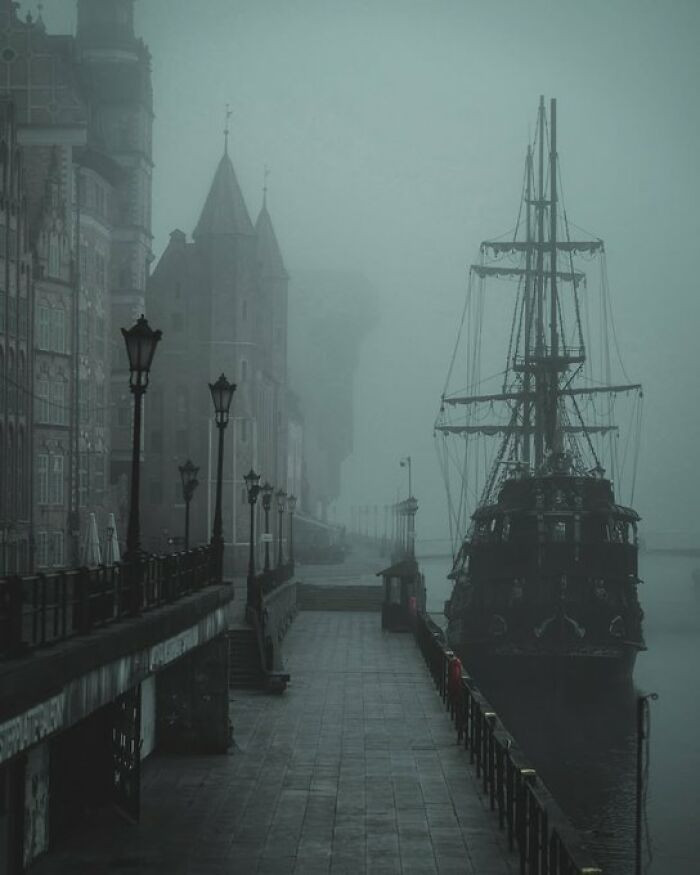 "Imagine This Being Your Morning Walk"
