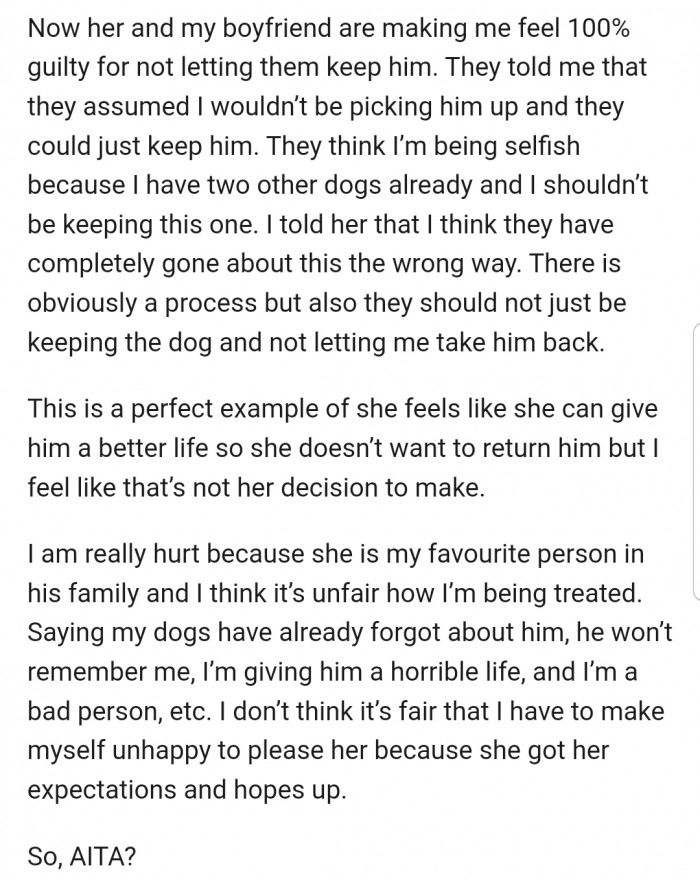 Both OP's boyfriend and his nan are making her feel guilty. But she's adamant about taking the dog home regardless.