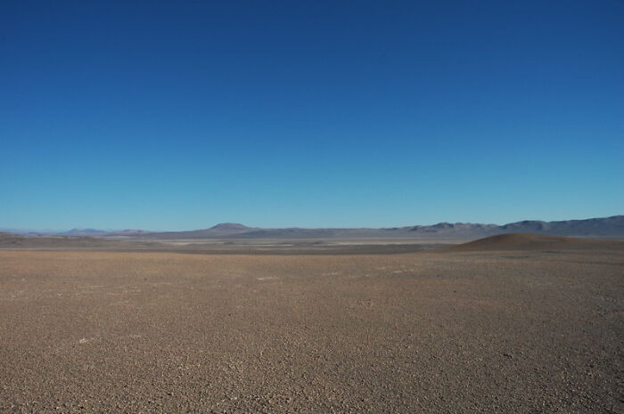 Life endures in Chile's Atacama Desert, where parts went 500 years without rain.