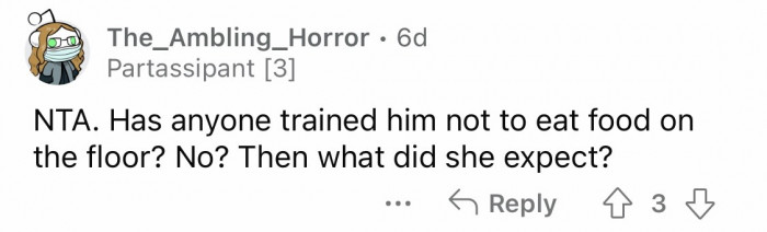 6. Human food should not be placed on the floor.
