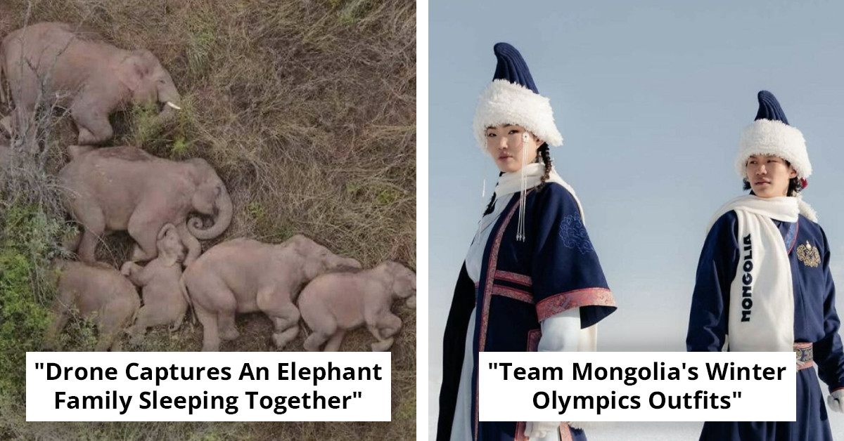 82 Feel-Good Stories for Anyone Tired of Bad News