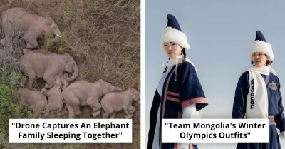 82 Feel-Good Stories for Anyone Tired of Bad News