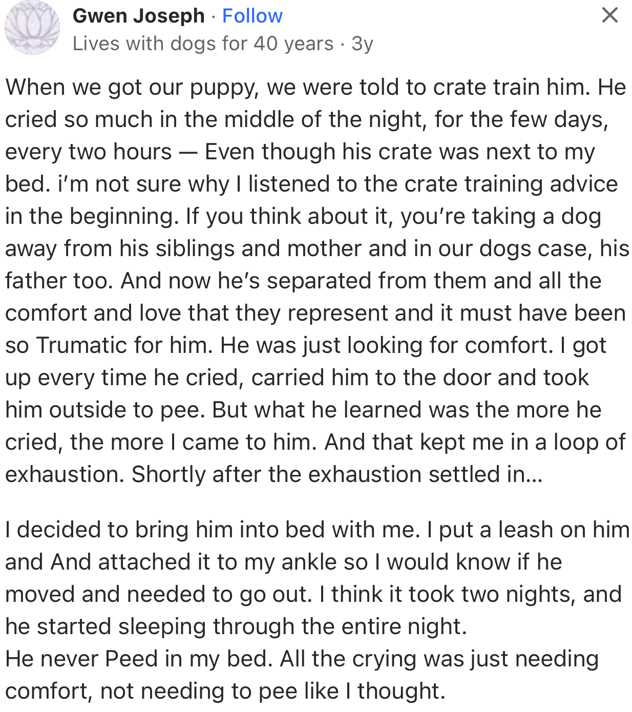 When dogs cry at night, they probably just need comfort