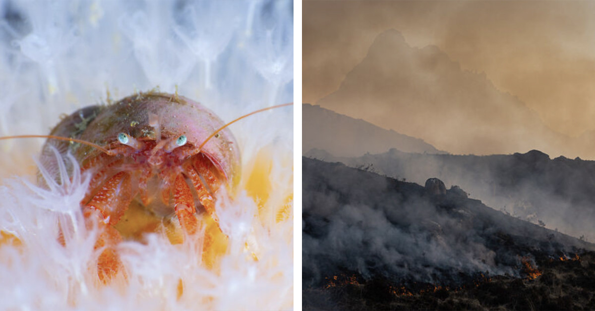 31 Striking Portraits Of Scotland’s Untamed Spirit