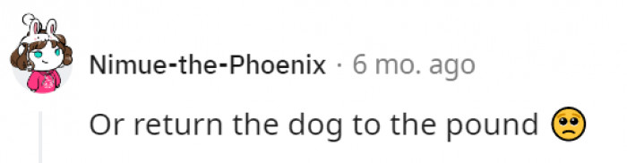 3. The pup may be better off with someone else who could take care of it better