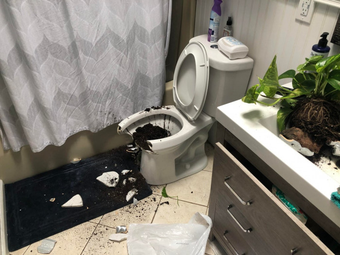 50. My wife bought a new plant pot and put it on the shelf over the toilet. An hour later, we heard a crash...