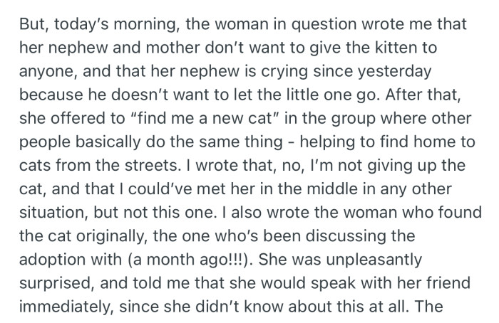 When it was time for their meeting, the woman wrote to OP, informing her that the adoption would no longer be possible since her nephew has gotten attached to the kitty