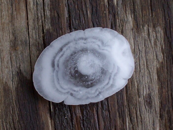 The heaviest hailstone on record fell in Bangladesh in 1986, weighing 2.25 pounds and causing nearly 100 deaths.