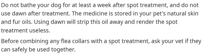 Fleas can be difficult to manage, so this person came in clutch. They provided both a verdict and advice on handling OP's situation.