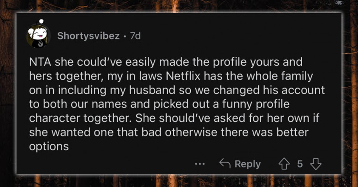 Redditor Called Petty By His GF After Asking Her To Delete Her Profile On His Brother's Netflix Account