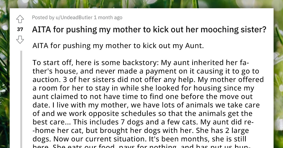 Redditor Gets Tired Of Supporting Her Mooching Aunt And Her Dogs, Gives Her Ultimatum