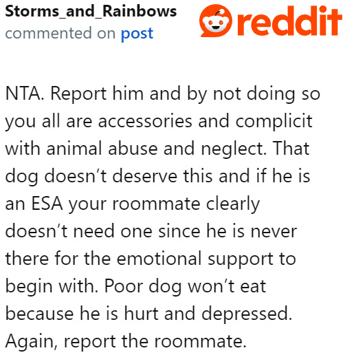 A Redditor points out that the OP and the other roommates are, in a way, involved with the neglect.