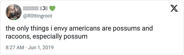 15. The possums and raccoons