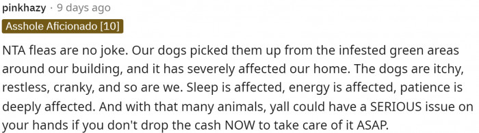 This is a very long comment with a few separate screenshots, but this person left her a lot of advice.