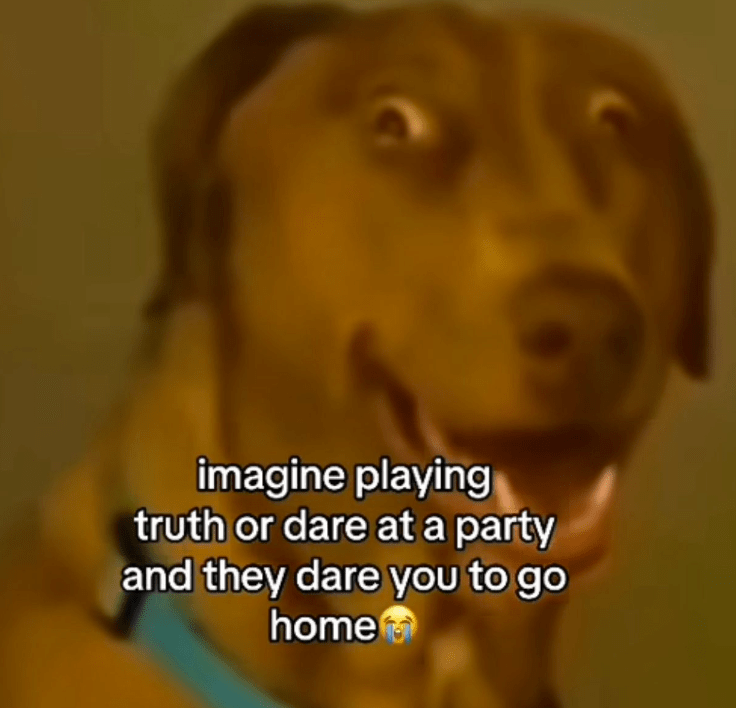 16. This would be heartbreaking. I'll definitely get my revenge someday.