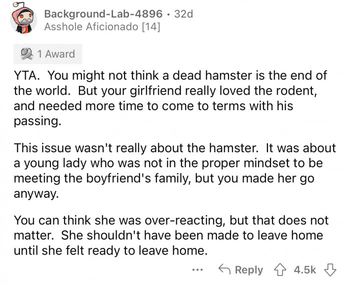 The GF was not in the proper mindset to meet OP's family.