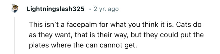 “Cats do as they want; that is their way.”