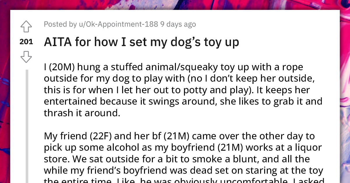 Overdramatic Vegan Accuses Redditor Of Purposely Hanging Stuffed Toy For Her Dog To Play With, Just To Hurt Her Vegan Feelings