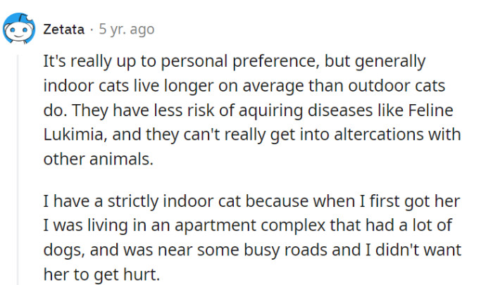 Indoor vs. outdoor: the eternal cat debate. Safety first for some, adventure for others—it's a purr-sonal preference!