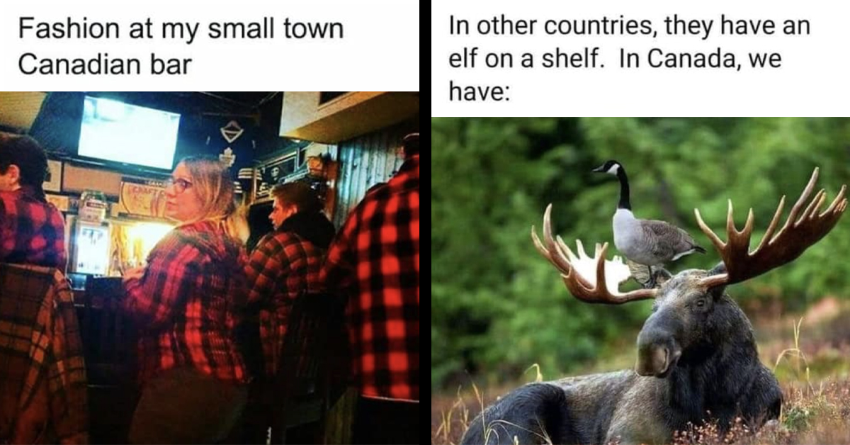 41 Hilarious Canadian Moments That'll Have You Craving Maple Syrup