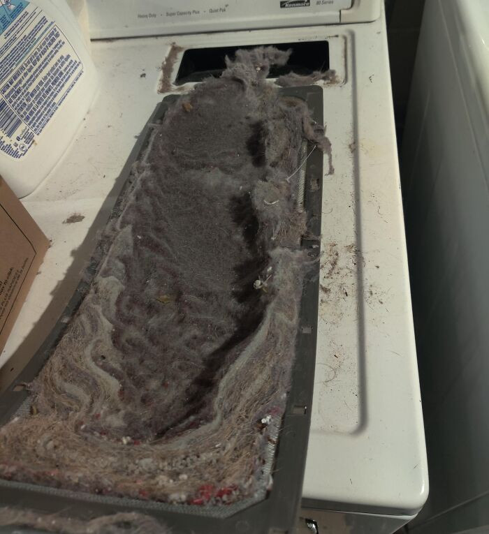 "Roommate Complained The Dryer Takes Twice As Long Now"