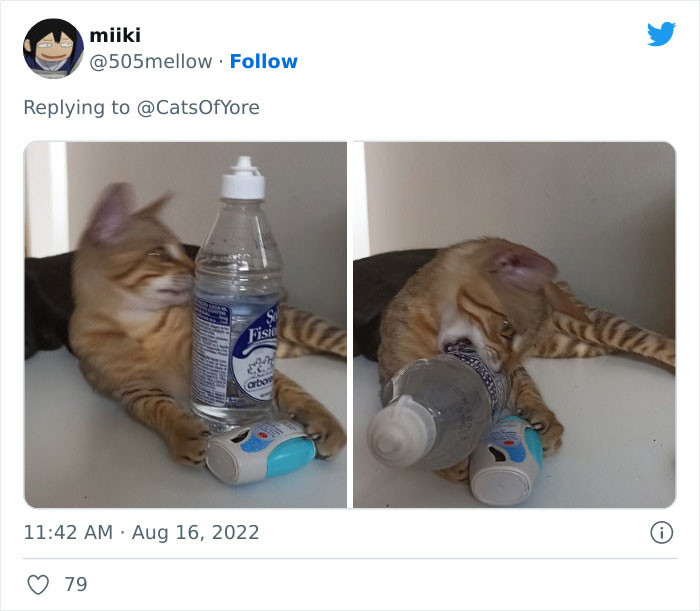 13. It must have a special taste: