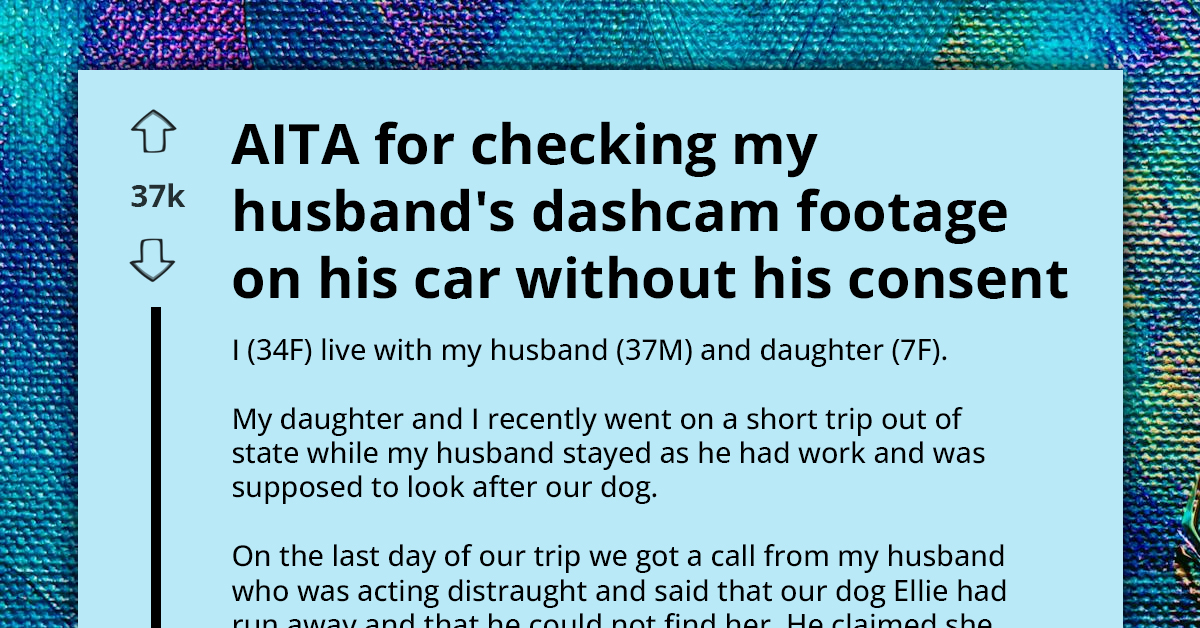 Redditor Asks If She's A**hole For Checking Husband's Dash Cam Footage Without His Permission To Find Out If He Abandoned Their Family Dog
