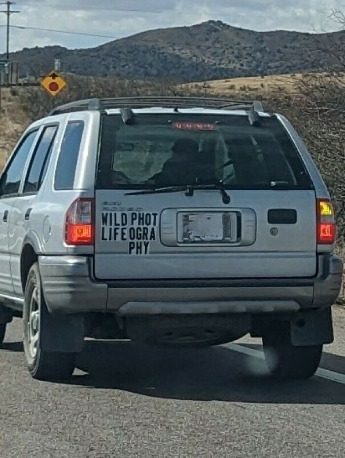 46. Wildphot Lifeography