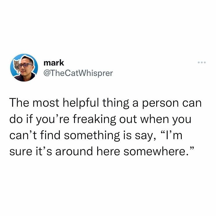 10. The universal cure for lost-item rage is a calm voice saying absolutely nothing useful.