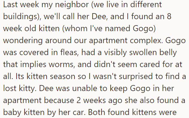 The OP and their neighbor found a little kitten