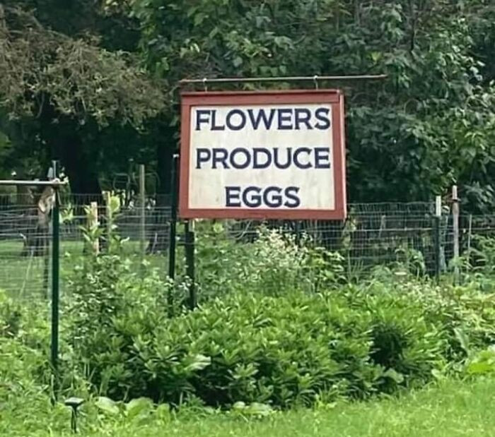 20. Flowers Produce Eggs
