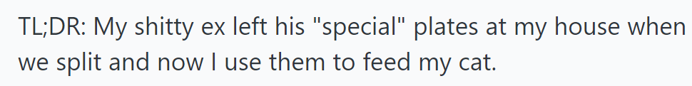 TL;DR: Her Ex Left His 'Special' Plates When They Split; Now She Uses Them to Feed Her Cat.