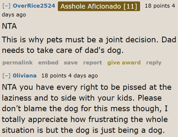 In this situation, it's never the dog's fault.