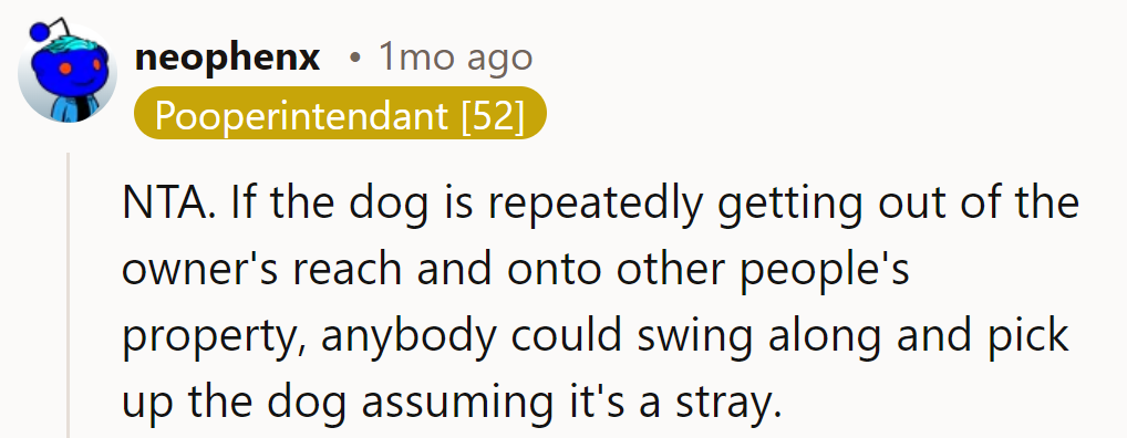 NTA. If the dog keeps escaping, anyone could mistake it for a wandering stray.